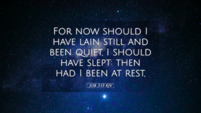 Picture 05 - Job 3:13 KJV Desktop Wallpaper - For now should I have lain still and been quiet, - Desktop Bible Verse Wallpaper