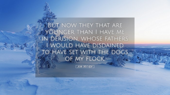 Picture 05 - Job 30:1 KJV Desktop Wallpaper - But now they that are younger than I have me in - Desktop Bible Verse Wallpaper