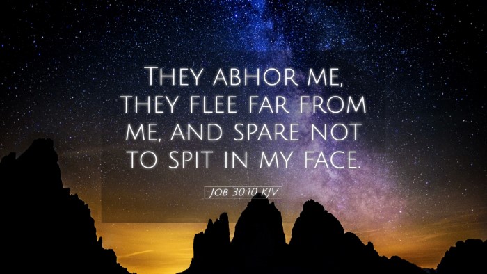Picture 05 - Job 30:10 KJV Desktop Wallpaper - They abhor me, they flee far from me, and spare - Desktop Bible Verse Wallpaper