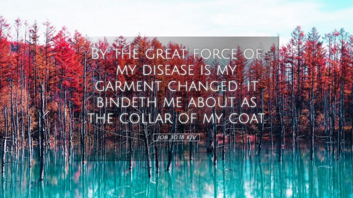 Picture 05 - Job 30:18 KJV Desktop Wallpaper - By the great force of my disease is my garment - Desktop Bible Verse Wallpaper