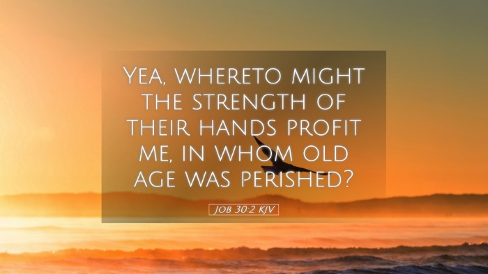 Picture 05 - Job 30:2 KJV Desktop Wallpaper - Yea, whereto might the strength of their hands - Desktop Bible Verse Wallpaper