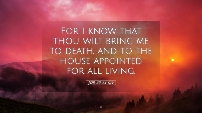 Picture 05 - Job 30:23 KJV Desktop Wallpaper - For I know that thou wilt bring me to death, and - Desktop Bible Verse Wallpaper