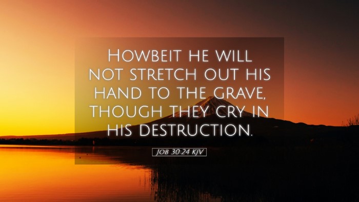 Picture 05 - Job 30:24 KJV Desktop Wallpaper - Howbeit he will not stretch out his hand to the - Desktop Bible Verse Wallpaper