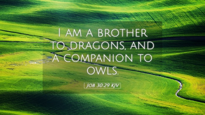 Picture 05 - Job 30:29 KJV Desktop Wallpaper - I am a brother to dragons, and a companion to - Desktop Bible Verse Wallpaper
