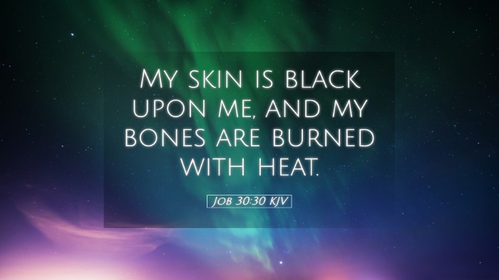 Picture 05 - Job 30:30 KJV Desktop Wallpaper - My skin is black upon me, and my bones are burned - Desktop Bible Verse Wallpaper