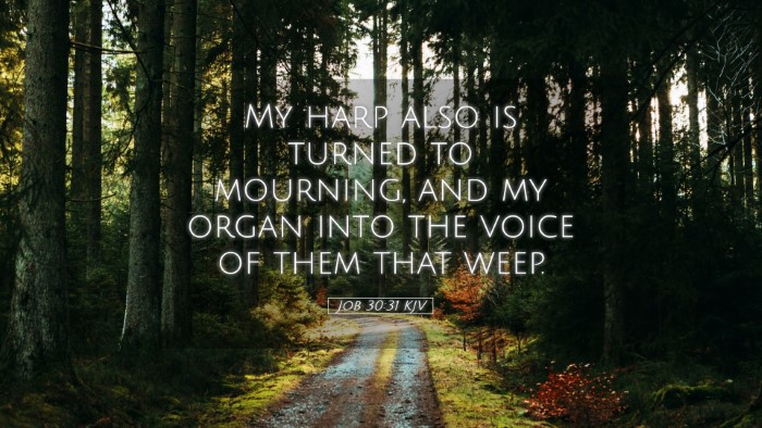 Picture 05 - Job 30:31 KJV Desktop Wallpaper - My harp also is turned to mourning, and my organ - Desktop Bible Verse Wallpaper