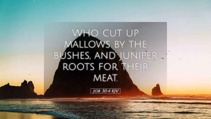 Picture 05 - Job 30:4 KJV Desktop Wallpaper - Who cut up mallows by the bushes, and juniper - Desktop Bible Verse Wallpaper
