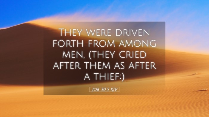 Picture 05 - Job 30:5 KJV Desktop Wallpaper - They were driven forth from among men, (they - Desktop Bible Verse Wallpaper