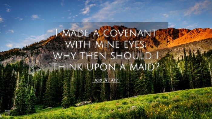 Picture 05 - Job 31:1 KJV Desktop Wallpaper - I made a covenant with mine eyes; why then should - Desktop Bible Verse Wallpaper