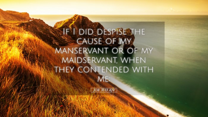 Picture 05 - Job 31:13 KJV Desktop Wallpaper - If I did despise the cause of my manservant or of - Desktop Bible Verse Wallpaper