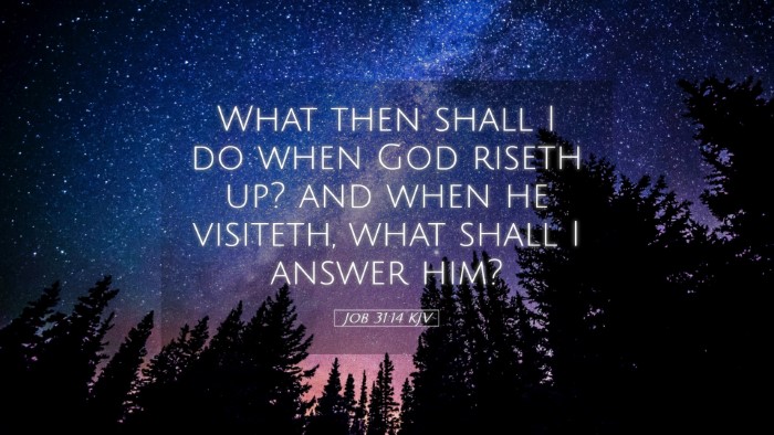Picture 05 - Job 31:14 KJV Desktop Wallpaper - What then shall I do when God riseth up? and when - Desktop Bible Verse Wallpaper