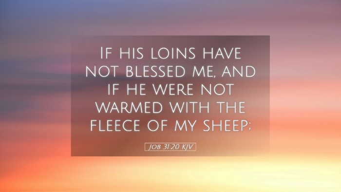 Picture 05 - Job 31:20 KJV Desktop Wallpaper - If his loins have not blessed me, and if he were - Desktop Bible Verse Wallpaper