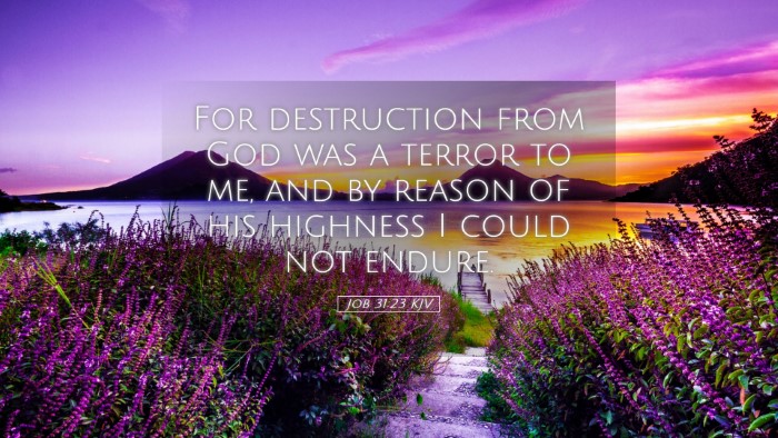 Picture 05 - Job 31:23 KJV Desktop Wallpaper - For destruction from God was a terror to me, and - Desktop Bible Verse Wallpaper