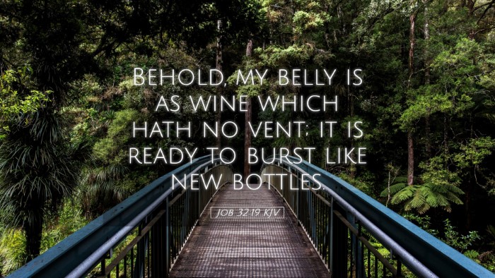 Picture 05 - Job 32:19 KJV Desktop Wallpaper - Behold, my belly is as wine which hath no vent; - Desktop Bible Verse Wallpaper