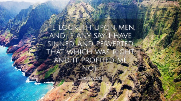 Picture 05 - Job 33:27 KJV Desktop Wallpaper - He looketh upon men, and if any say, I have - Desktop Bible Verse Wallpaper