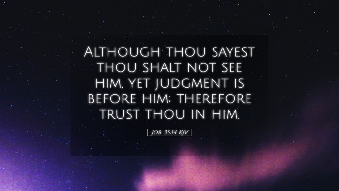 Picture 05 - Job 35:14 KJV Desktop Wallpaper - Although thou sayest thou shalt not see him, yet - Desktop Bible Verse Wallpaper