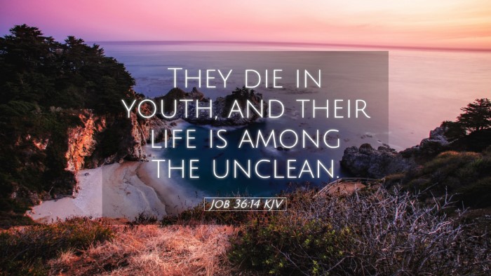Picture 05 - Job 36:14 KJV Desktop Wallpaper - They die in youth, and their life is among the - Desktop Bible Verse Wallpaper