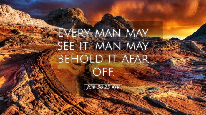 Picture 05 - Job 36:25 KJV Desktop Wallpaper - Every man may see it; man may behold it afar - Desktop Bible Verse Wallpaper