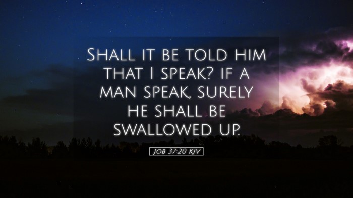 Picture 05 - Job 37:20 KJV Desktop Wallpaper - Shall it be told him that I speak? if a man - Desktop Bible Verse Wallpaper