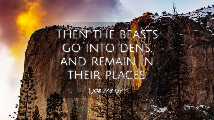 Picture 05 - Job 37:8 KJV Desktop Wallpaper - Then the beasts go into dens, and remain in their - Desktop Bible Verse Wallpaper
