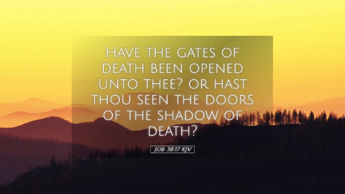 Picture 05 - Job 38:17 KJV Desktop Wallpaper - Have the gates of death been opened unto thee? or - Desktop Bible Verse Wallpaper
