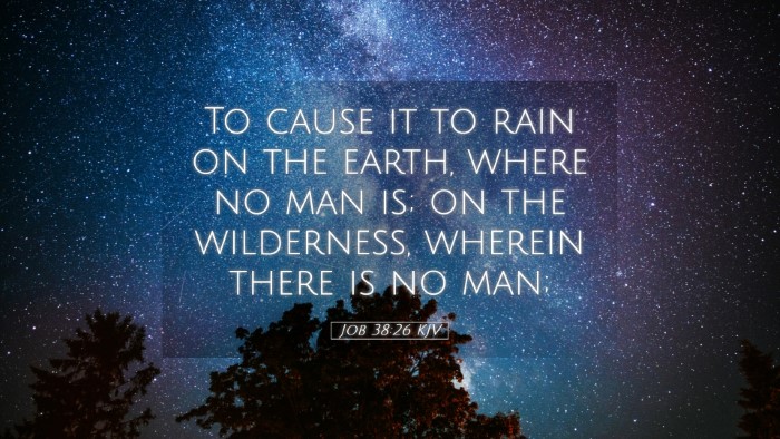 Picture 05 - Job 38:26 KJV Desktop Wallpaper - To cause it to rain on the earth, where no man - Desktop Bible Verse Wallpaper