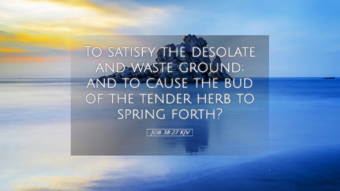 Picture 05 - Job 38:27 KJV Desktop Wallpaper - To satisfy the desolate and waste ground; and to - Desktop Bible Verse Wallpaper