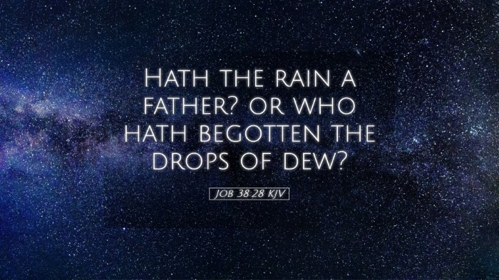Picture 05 - Job 38:28 KJV Desktop Wallpaper - Hath the rain a father? or who hath begotten the - Desktop Bible Verse Wallpaper