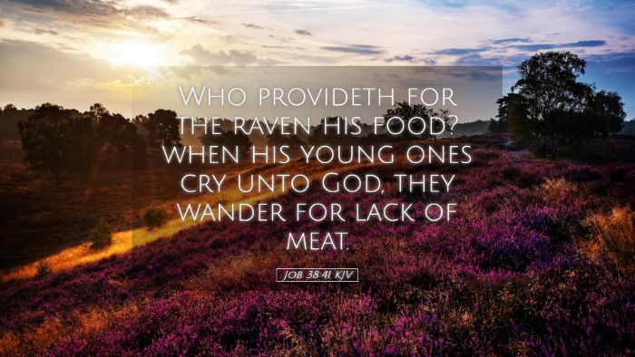 Picture 05 - Job 38:41 KJV Desktop Wallpaper - Who provideth for the raven his food? when his - Desktop Bible Verse Wallpaper