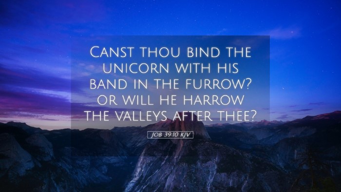 Picture 05 - Job 39:10 KJV Desktop Wallpaper - Canst thou bind the unicorn with his band in the - Desktop Bible Verse Wallpaper