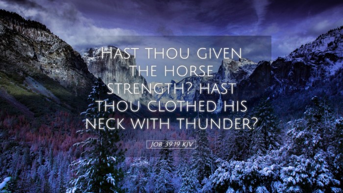 Picture 05 - Job 39:19 KJV Desktop Wallpaper - Hast thou given the horse strength? hast thou - Desktop Bible Verse Wallpaper