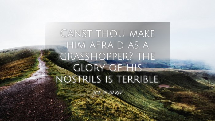 Picture 05 - Job 39:20 KJV Desktop Wallpaper - Canst thou make him afraid as a grasshopper? the - Desktop Bible Verse Wallpaper