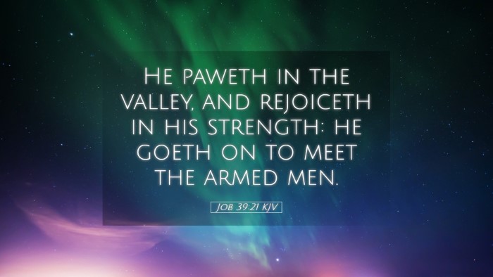 Picture 05 - Job 39:21 KJV Desktop Wallpaper - He paweth in the valley, and rejoiceth in his - Desktop Bible Verse Wallpaper