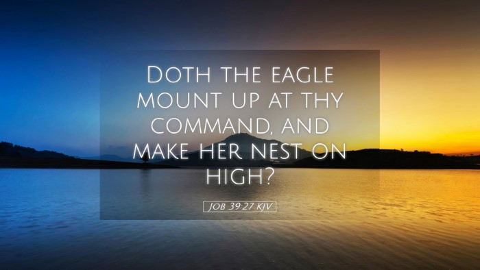 Picture 05 - Job 39:27 KJV Desktop Wallpaper - Doth the eagle mount up at thy command, and make - Desktop Bible Verse Wallpaper