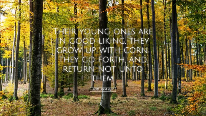 Picture 05 - Job 39:4 KJV Desktop Wallpaper - Their young ones are in good liking, they grow up - Desktop Bible Verse Wallpaper