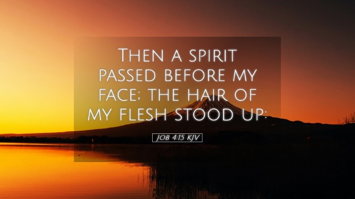 Picture 05 - Job 4:15 KJV Desktop Wallpaper - Then a spirit passed before my face; the hair of - Desktop Bible Verse Wallpaper