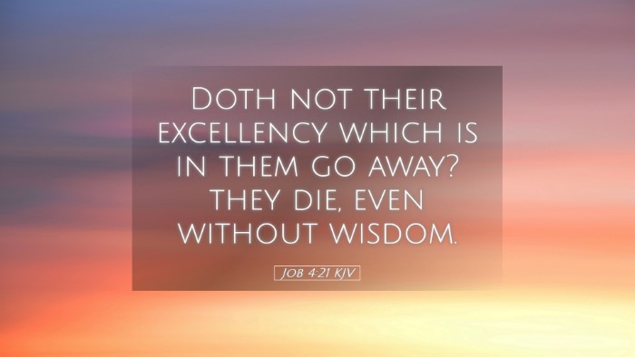 Picture 05 - Job 4:21 KJV Desktop Wallpaper - Doth not their excellency which is in them go - Desktop Bible Verse Wallpaper