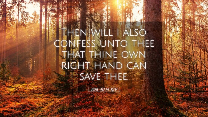 Picture 05 - Job 40:14 KJV Desktop Wallpaper - Then will I also confess unto thee that thine own - Desktop Bible Verse Wallpaper
