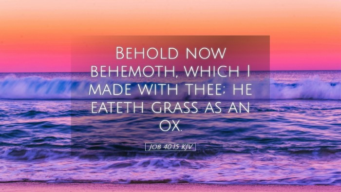 Picture 05 - Job 40:15 KJV Desktop Wallpaper - Behold now behemoth, which I made with thee; he - Desktop Bible Verse Wallpaper