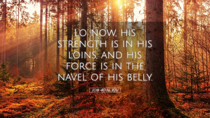 Picture 05 - Job 40:16 KJV Desktop Wallpaper - Lo now, his strength is in his loins, and his - Desktop Bible Verse Wallpaper