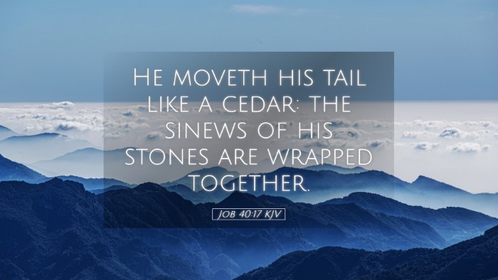 Picture 05 - Job 40:17 KJV Desktop Wallpaper - He moveth his tail like a cedar: the sinews of - Desktop Bible Verse Wallpaper