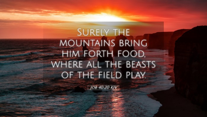 Picture 05 - Job 40:20 KJV Desktop Wallpaper - Surely the mountains bring him forth food, where - Desktop Bible Verse Wallpaper
