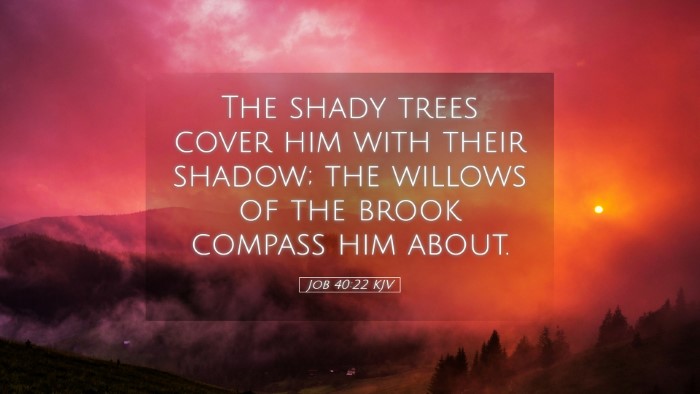 Picture 05 - Job 40:22 KJV Desktop Wallpaper - The shady trees cover him with their shadow; the - Desktop Bible Verse Wallpaper