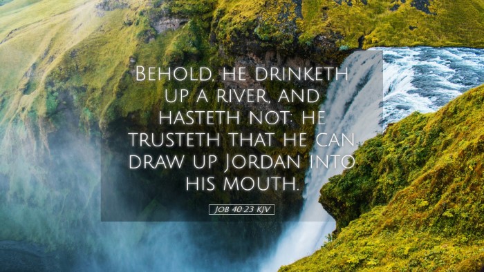Picture 05 - Job 40:23 KJV Desktop Wallpaper - Behold, he drinketh up a river, and hasteth not: - Desktop Bible Verse Wallpaper