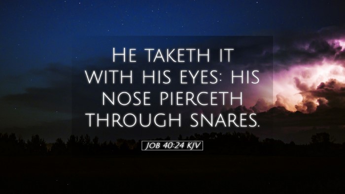 Picture 05 - Job 40:24 KJV Desktop Wallpaper - He taketh it with his eyes: his nose pierceth - Desktop Bible Verse Wallpaper
