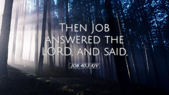 Picture 05 - Job 40:3 KJV Desktop Wallpaper - Then Job answered the LORD, and - Desktop Bible Verse Wallpaper