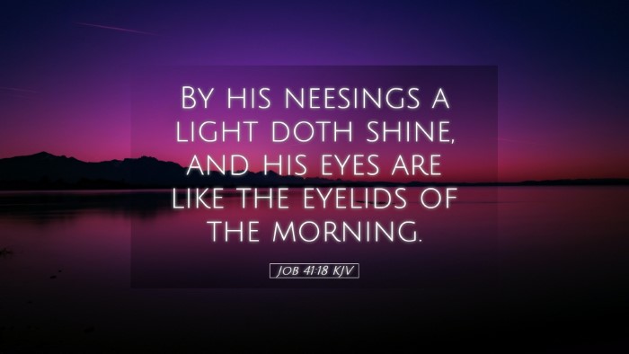 Picture 05 - Job 41:18 KJV Desktop Wallpaper - By his neesings a light doth shine, and his eyes - Desktop Bible Verse Wallpaper
