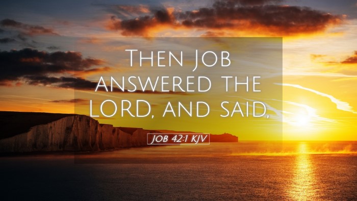 Picture 05 - Job 42:1 KJV Desktop Wallpaper - Then Job answered the LORD, and - Desktop Bible Verse Wallpaper