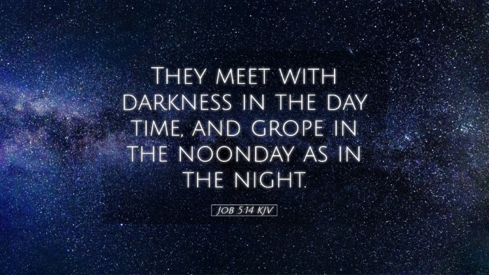 Picture 05 - Job 5:14 KJV Desktop Wallpaper - They meet with darkness in the day time, and - Desktop Bible Verse Wallpaper