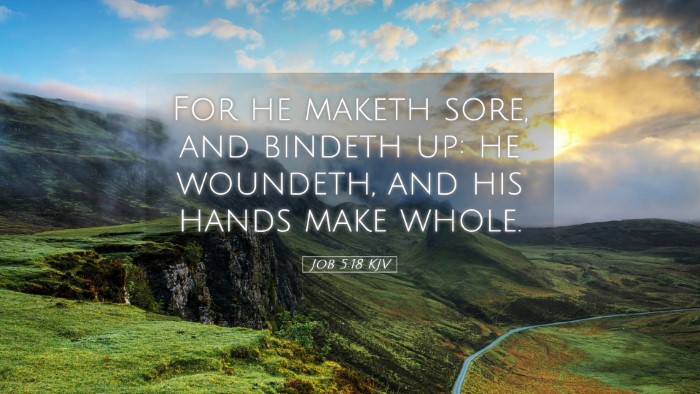 Picture 05 - Job 5:18 KJV Desktop Wallpaper - For he maketh sore, and bindeth up: he woundeth, - Desktop Bible Verse Wallpaper